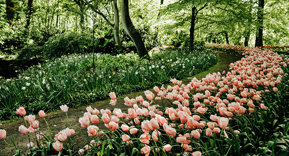 Quelle est la meilleure saison pour vendre son logement en 2026 ?